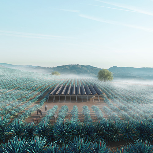 CASA DEL AGAVE - The Best New Architects
